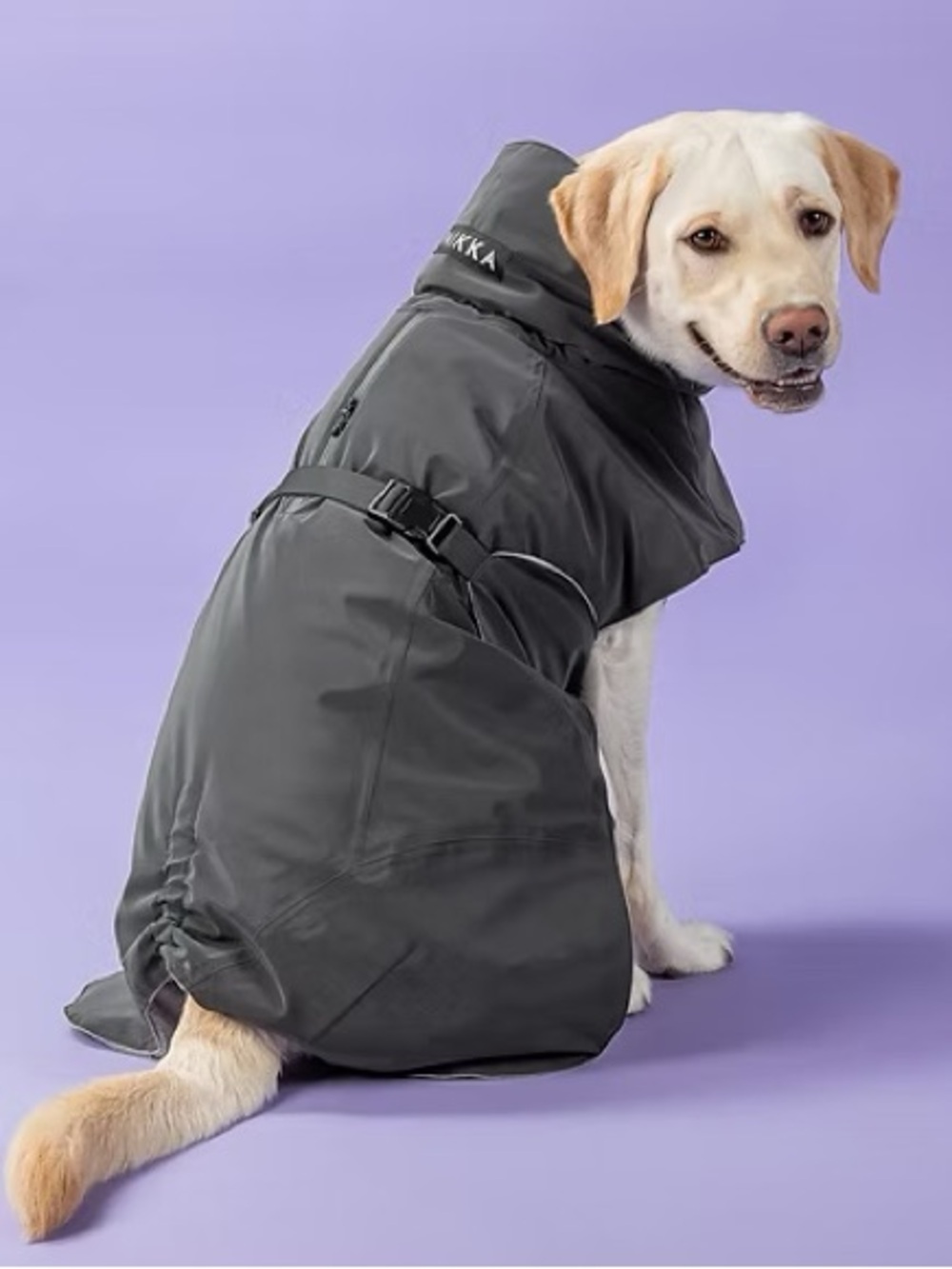 PAIKKA WATERPROOF WINTER DOG JACKET - dark
